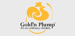 Gold'n Plump Chicken